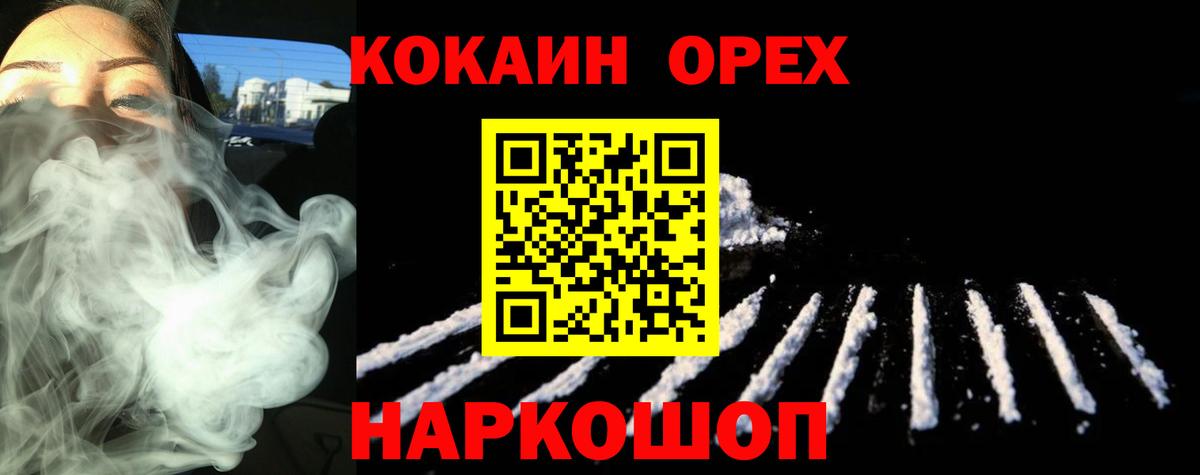 Галлюциногенные грибы Губкинский