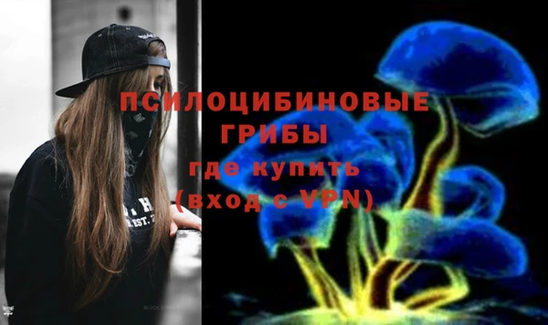 прущие грибы Нефтегорск