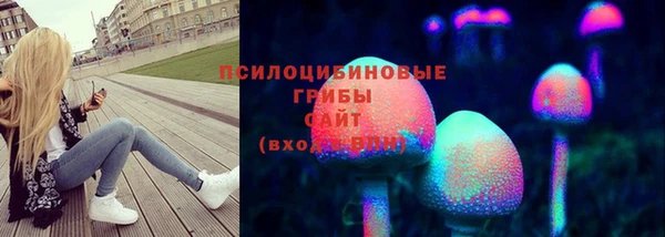 прущие грибы Нефтегорск