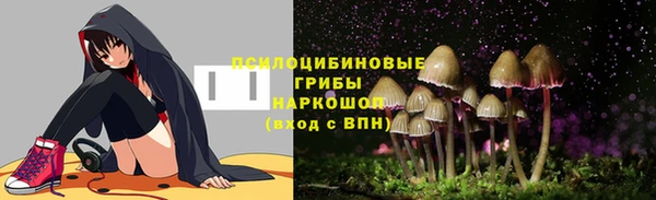 скорость Нея