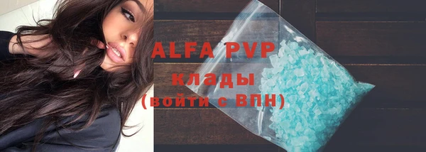 прущие грибы Нефтегорск