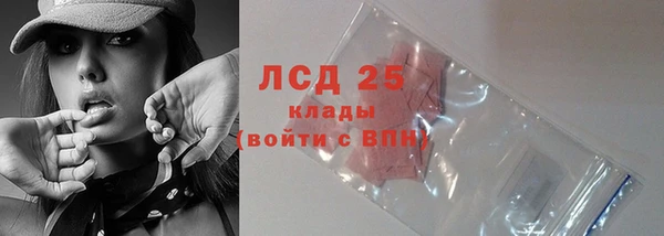 прущие грибы Нефтегорск
