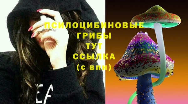прущие грибы Нефтегорск