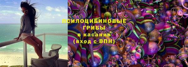 шишки Нефтекумск