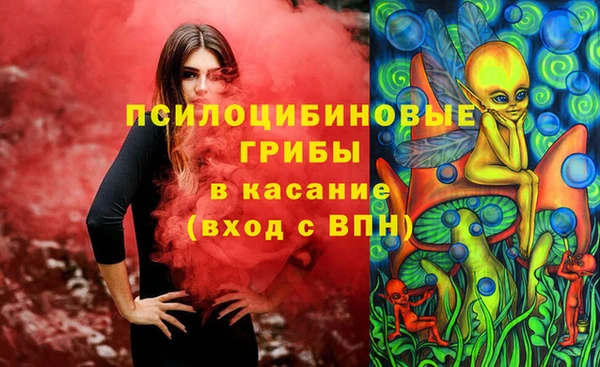 шишки Нефтекумск