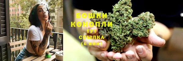 прущие грибы Нефтегорск