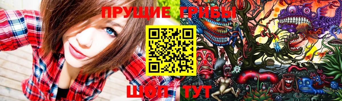 цена наркотик  Губкинский  Псилоцибиновые грибы MAGIC MUSHROOMS 