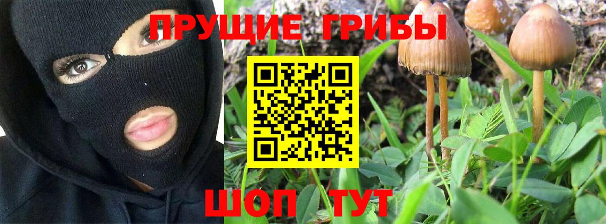 Галлюциногенные грибы мухоморы Губкинский