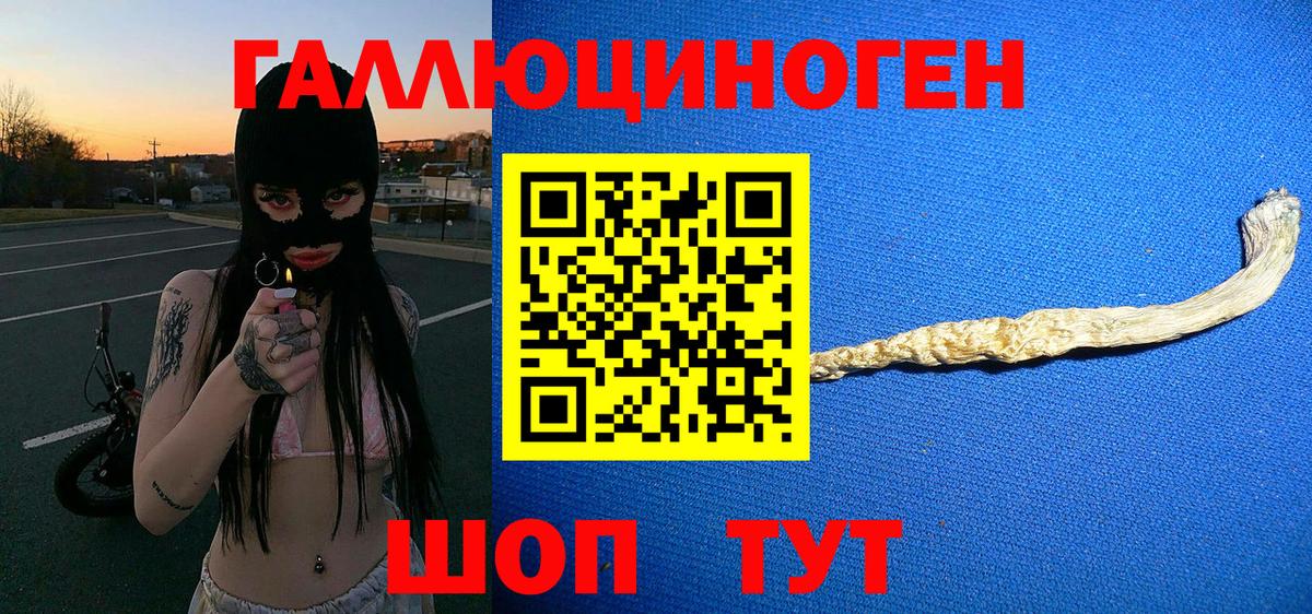 Галлюциногенные грибы мицелий Губкинский