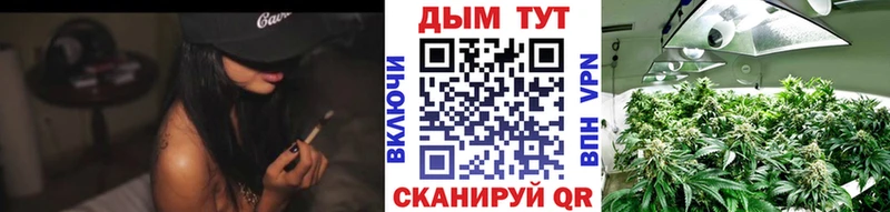 Каннабис Amnesia Губкинский