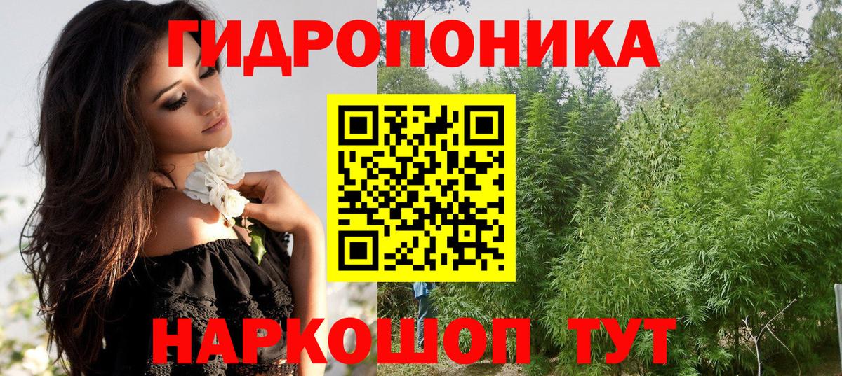 Шишки марихуана семена Губкинский